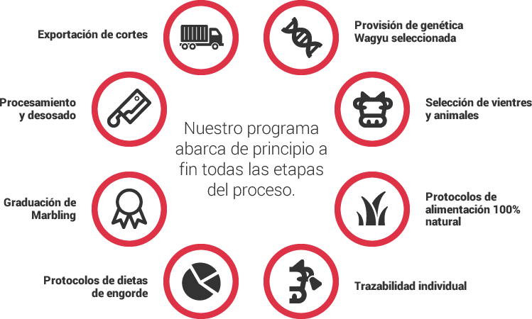 Programa Wagyu