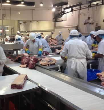 Calidad Wagyu 3